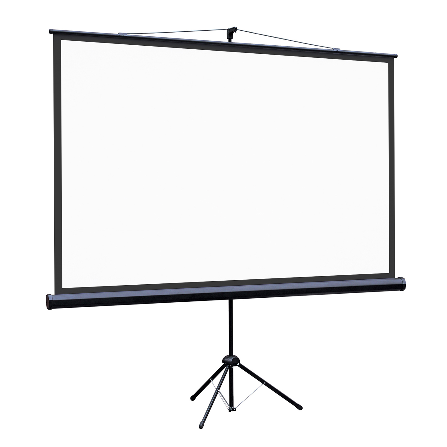 [LEV-100113] Экран на штативе Lumien Eco View